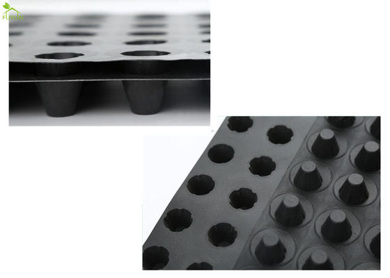 Underground Water System Drainage Geocomposite Board Height 12mm